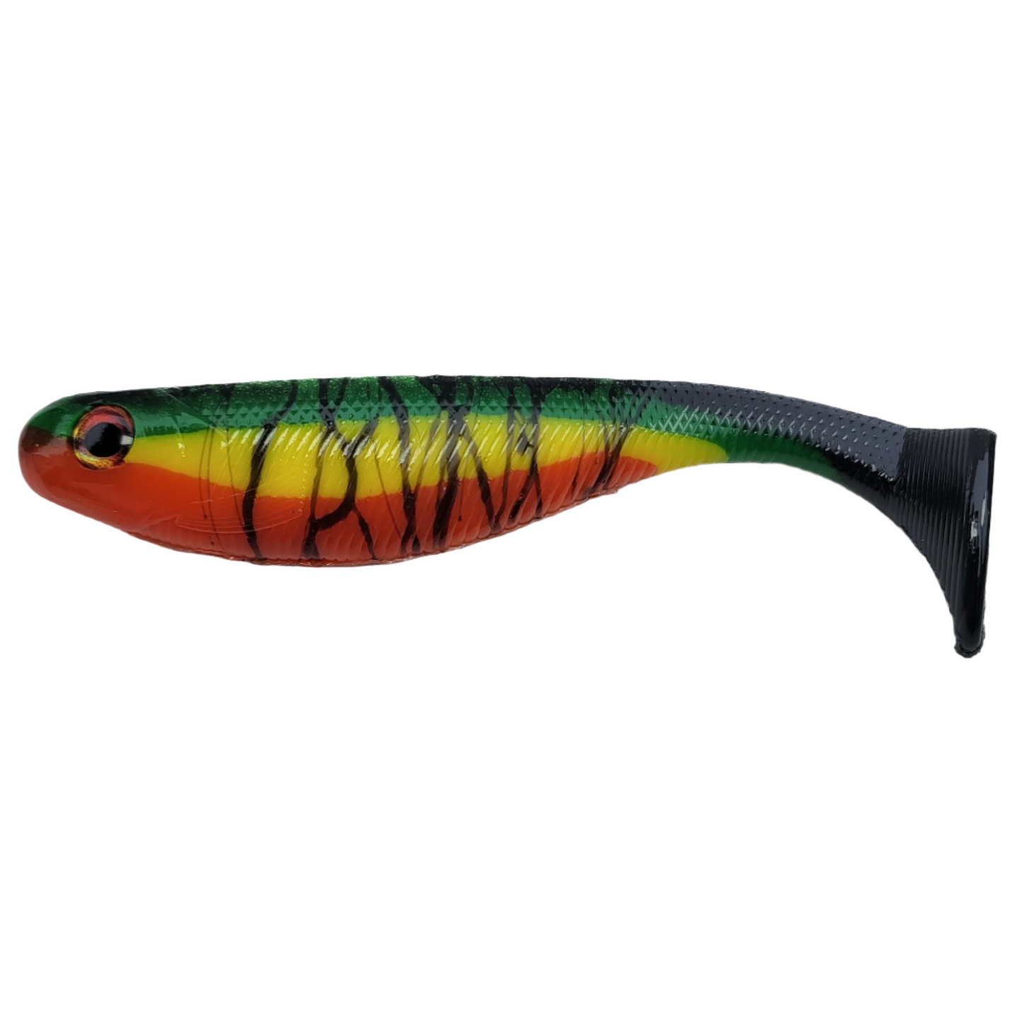 6" The Duke Custom Series - Rasta Tiger - 1/pk