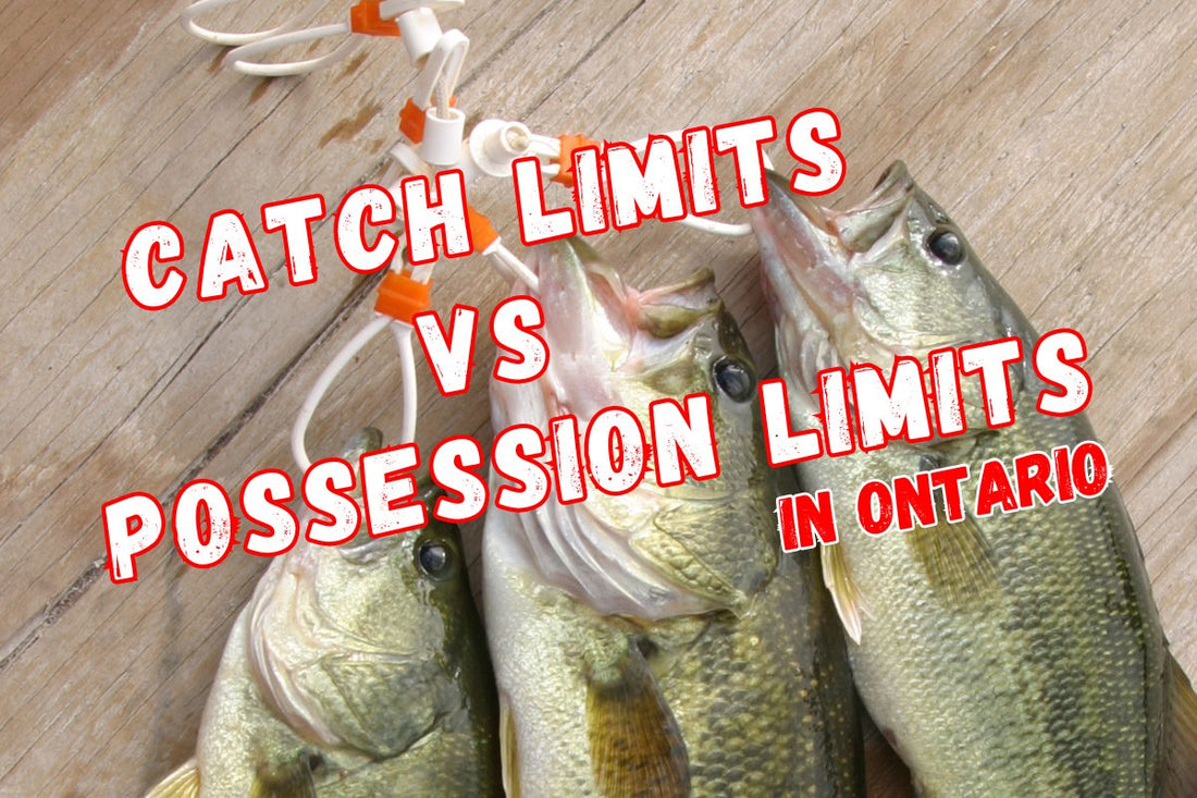 Understanding Catch Limits vs. Possession Limits in Ontario