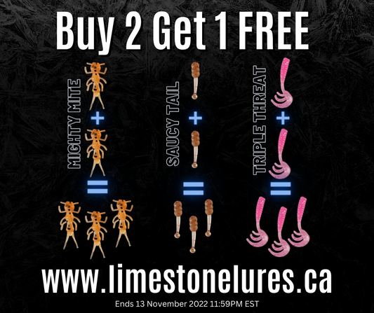 Buy 2 Get one FREE