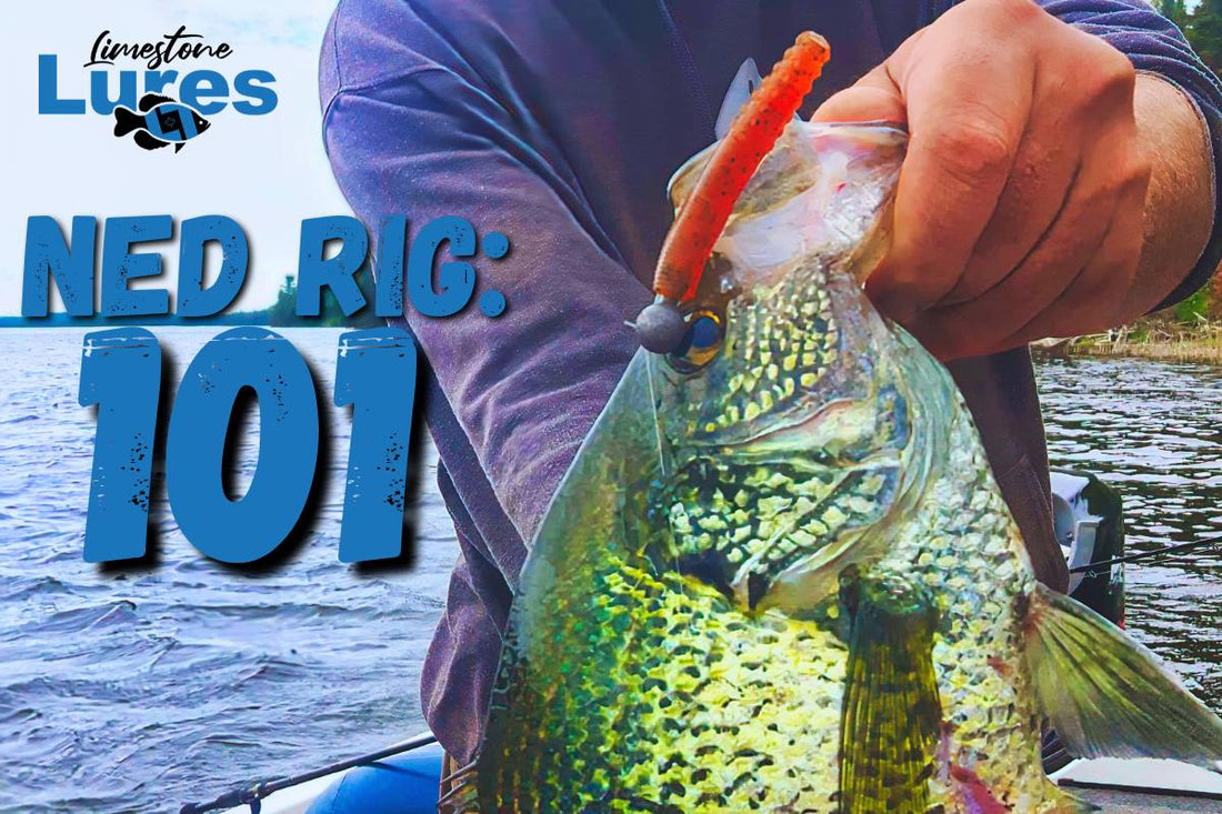 Ned Rig 101: Why You Need to Add the Ned Rig to Your Fishing Arsenal