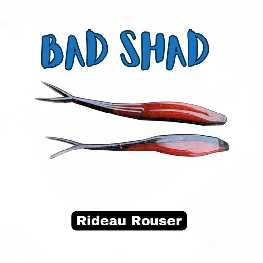 5" Bad Shad - 6/pk